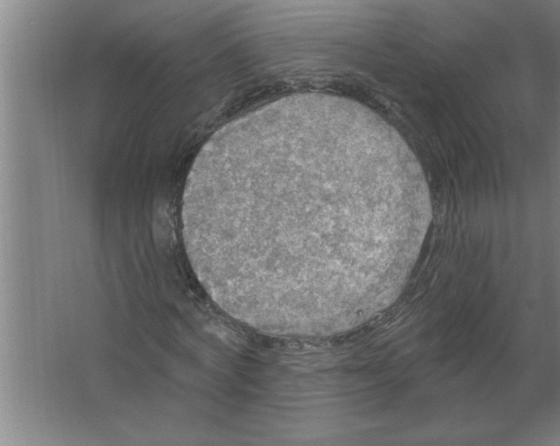 X0000067470772200604281853