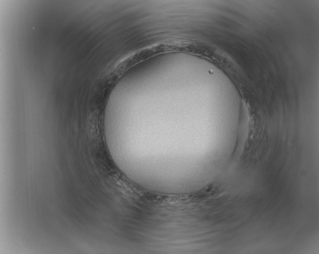 X0000067470773200604281853