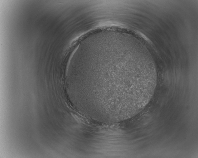 X0000067470775200604281853