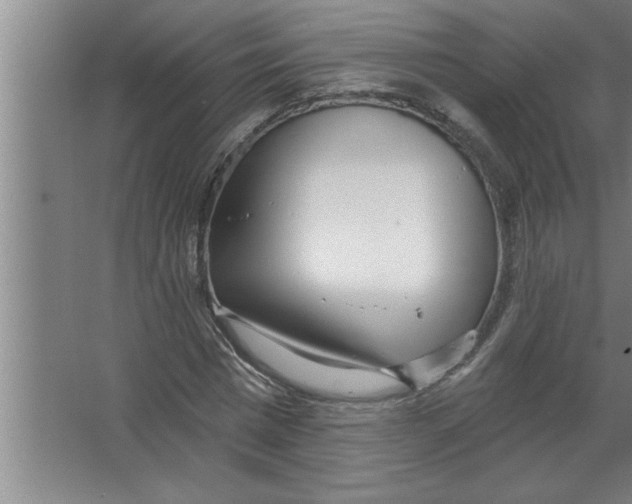 X0000067470777200604281853