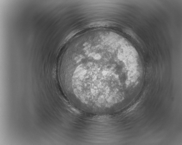 X0000067470778200604281853