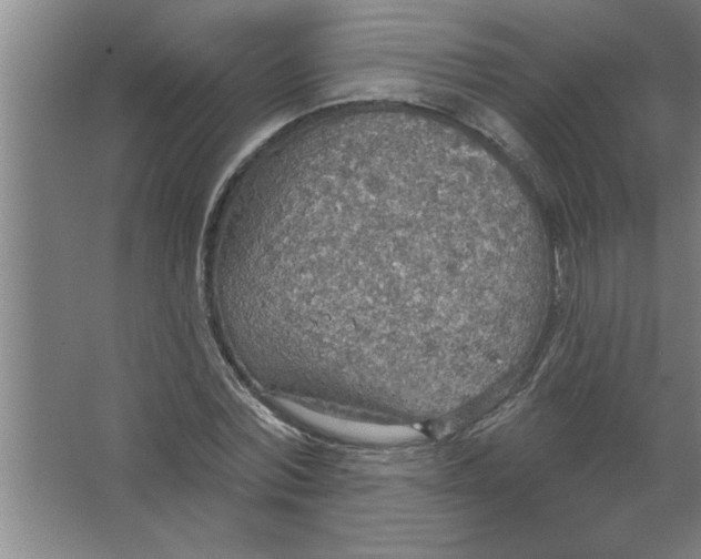 X0000067470780200604281853