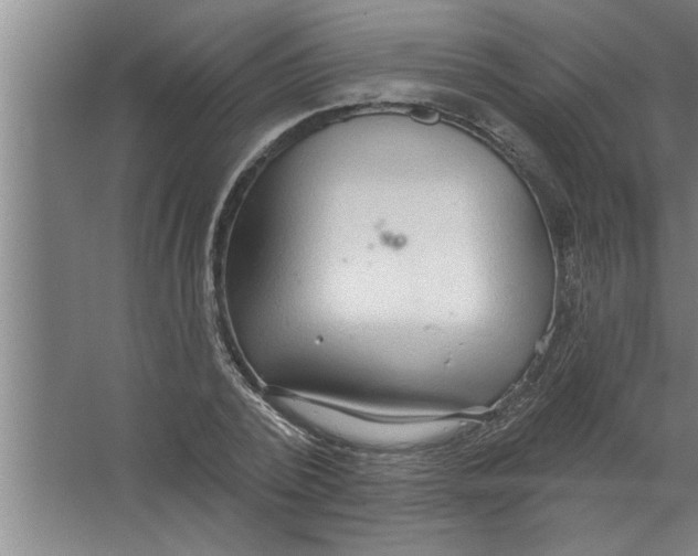 X0000067470784200604281853