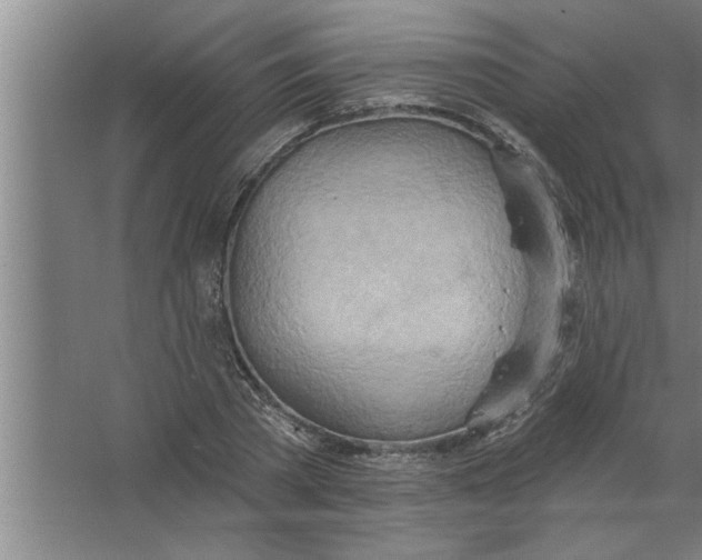 X0000067470785200604281853