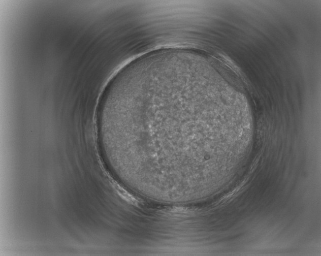 X0000067470787200604281853