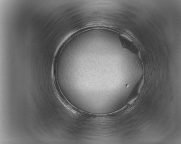 X0000067470788200604281853