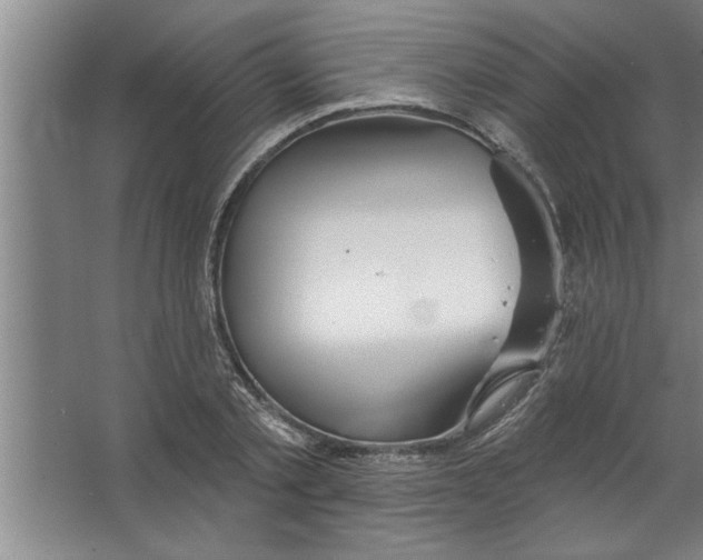 X0000067470789200604281853