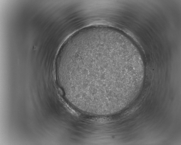 X0000067470791200604281853