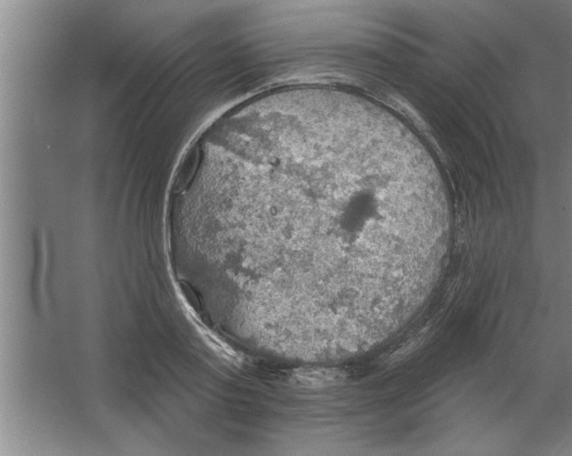 X0000067470795200604281853