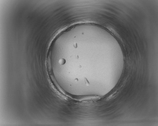 X0000067470797200604281853