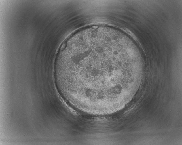 X0000067470799200604281853