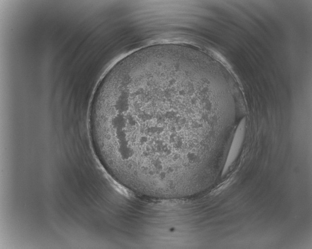 X0000067470803200604281852