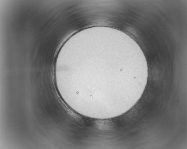 X0000067470804200604281852