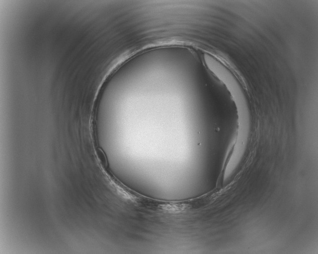 X0000067470805200604281852