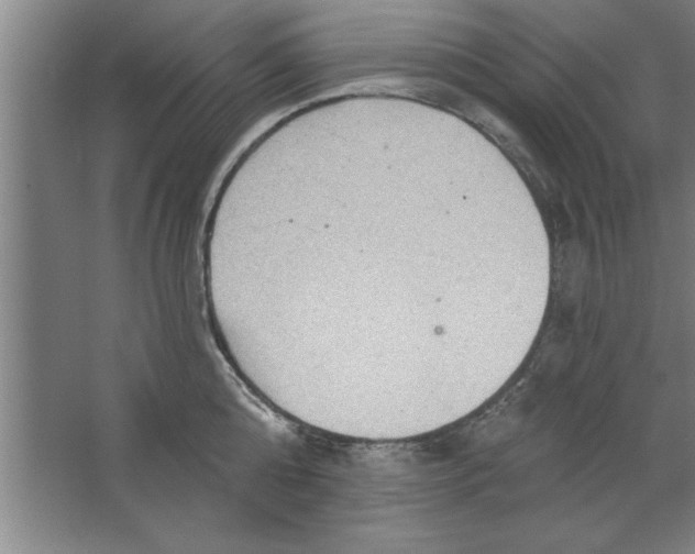 X0000067470808200604281852