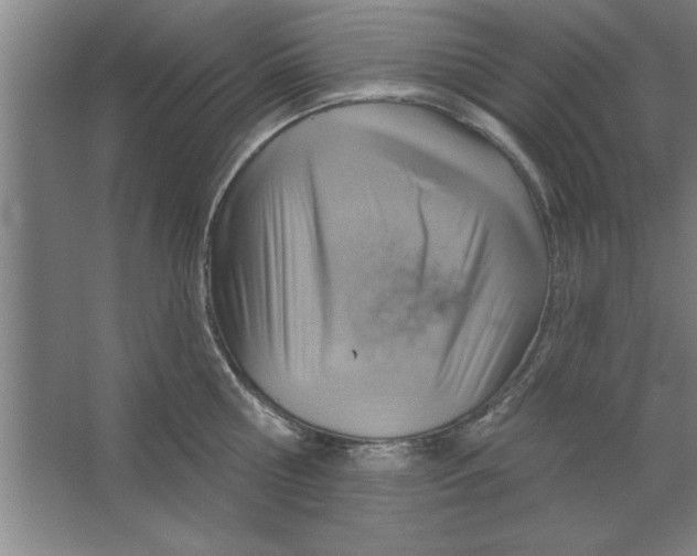 X0000067470810200604281852