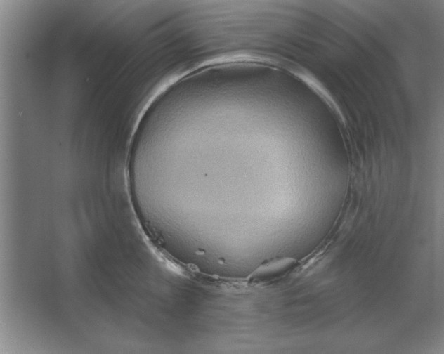 X0000067470813200604281852