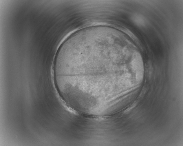 X0000067470814200604281852