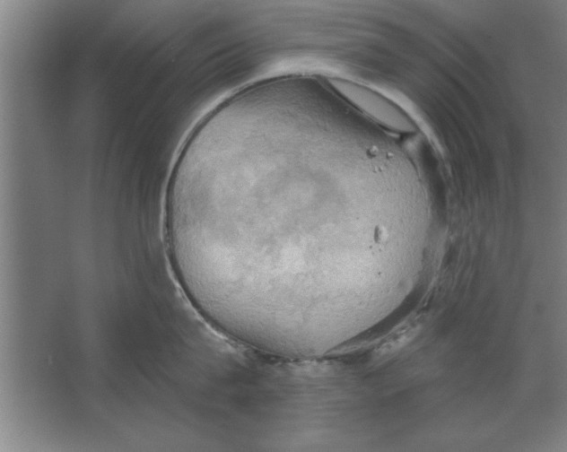 X0000067470815200604281852