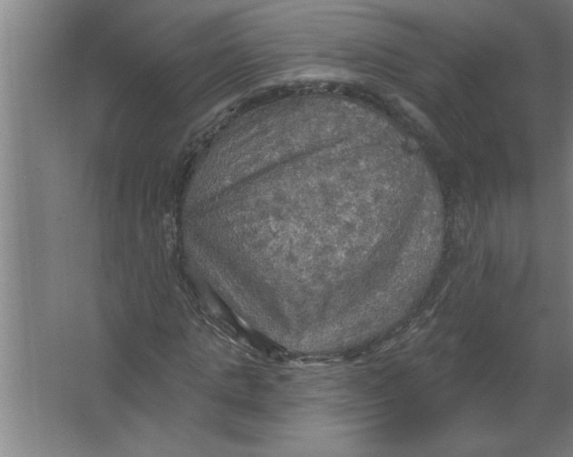 X0000067470821200604281852