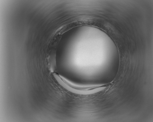 X0000067470822200604281852