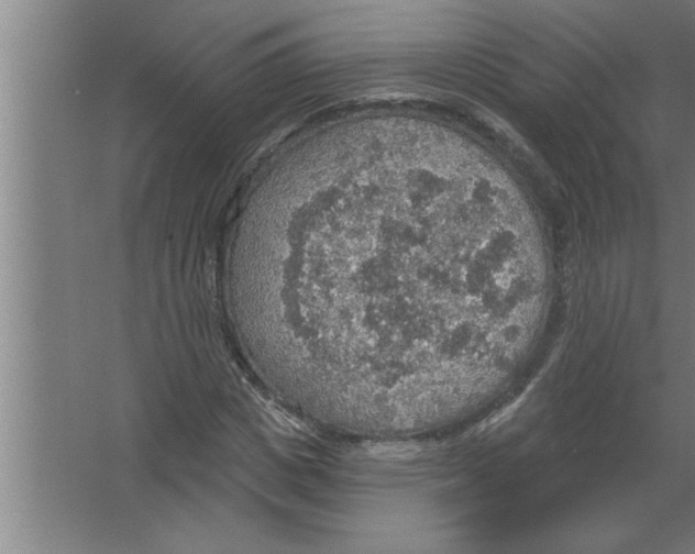 X0000067470825200604281852