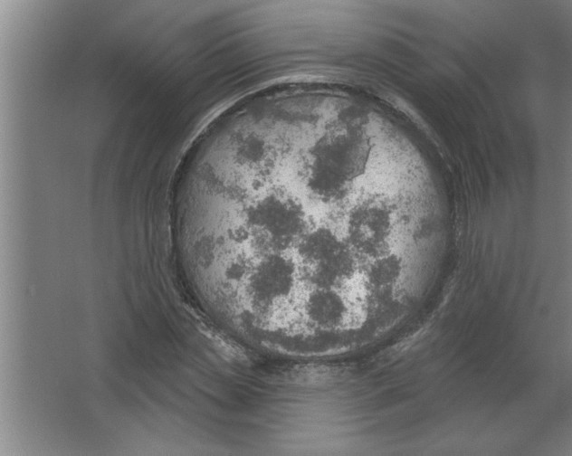 X0000067470829200604281852