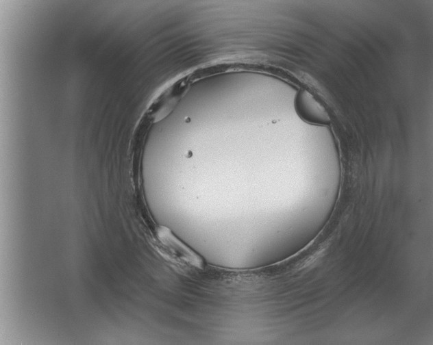 X0000067470830200604281852