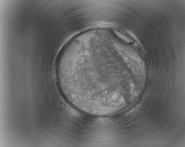 X0000067470835200604281852