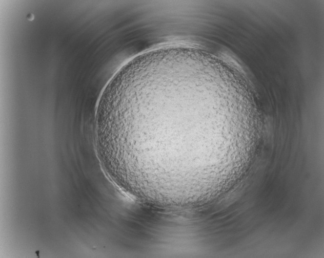 X0000067470836200604281852