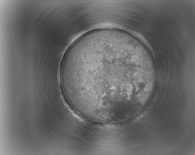 X0000067470839200604281852