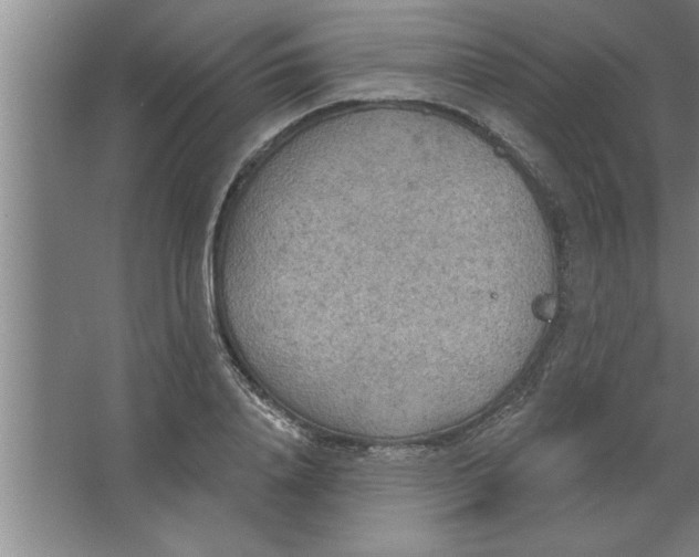 X0000067470840200604281852