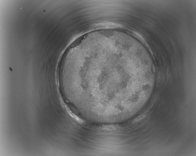 X0000067470843200604281852