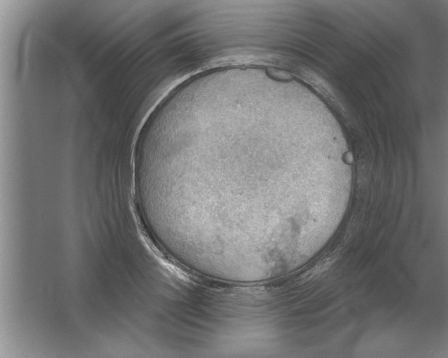 X0000067470844200604281852