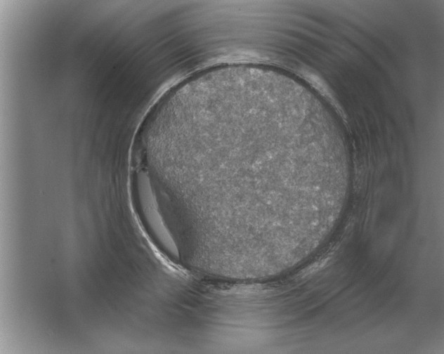 X0000067470845200604281852