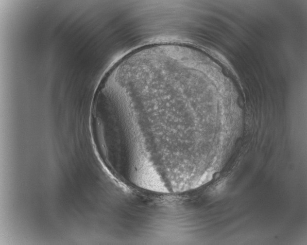 X0000067470847200604281852