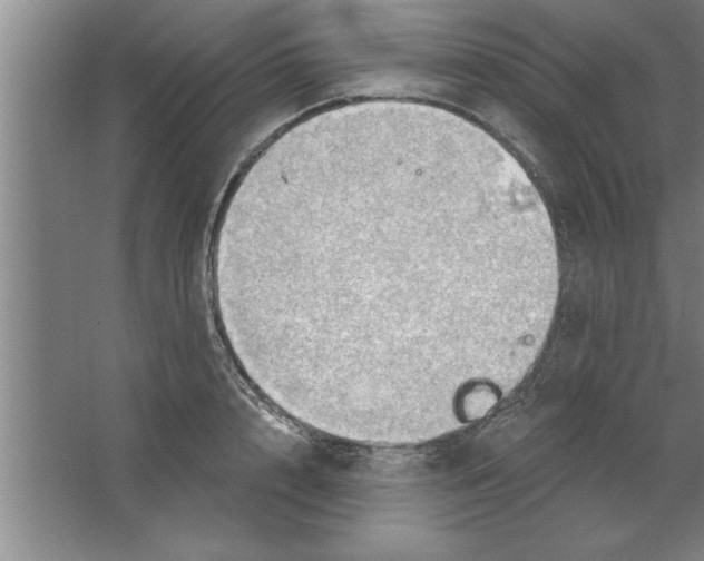 X0000067470848200604281852