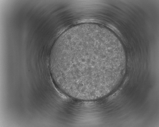 X0000067470849200604281852