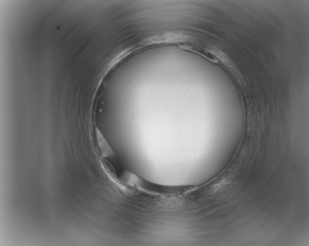 X0000067470850200604281852