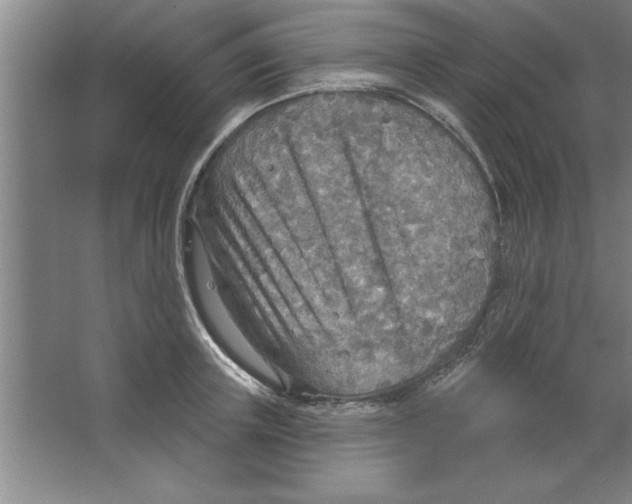 X0000067470851200604281852