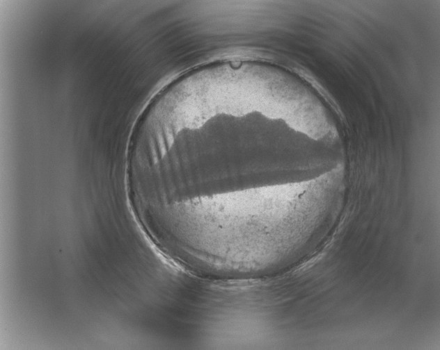 X0000067470853200604281852