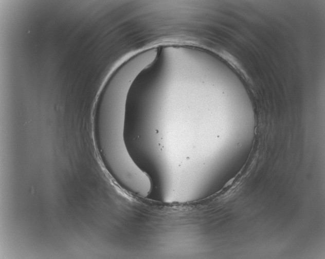 X0000067470854200604281852