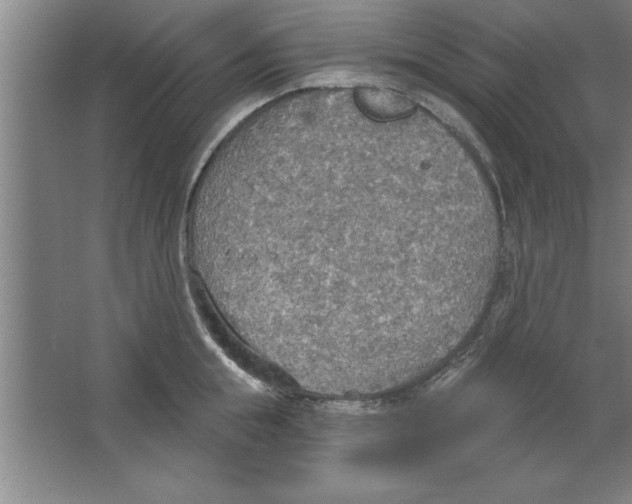 X0000067470855200604281852