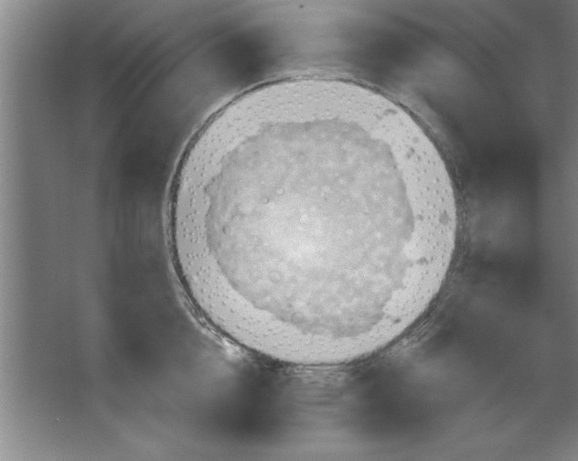 X0000067470856200604281852