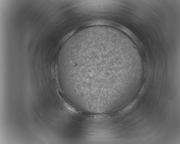 X0000067470857200604281852