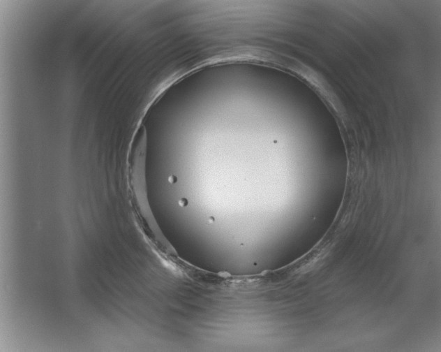 X0000067470858200604281852