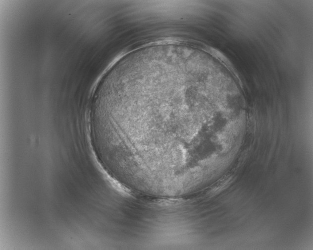 X0000067470859200604281852