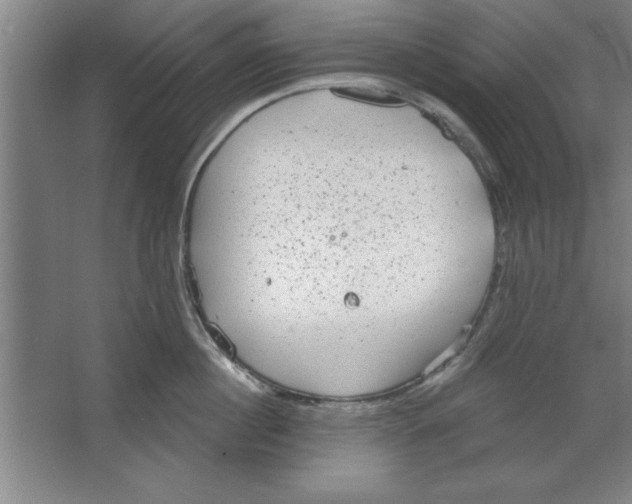 X0000067470860200604281852