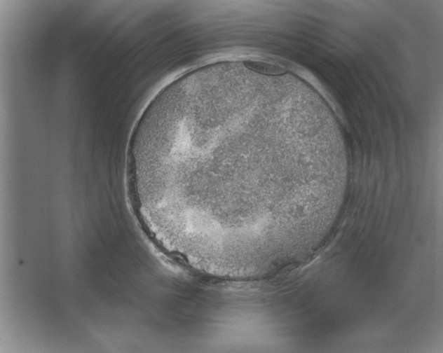 X0000067470861200604281852