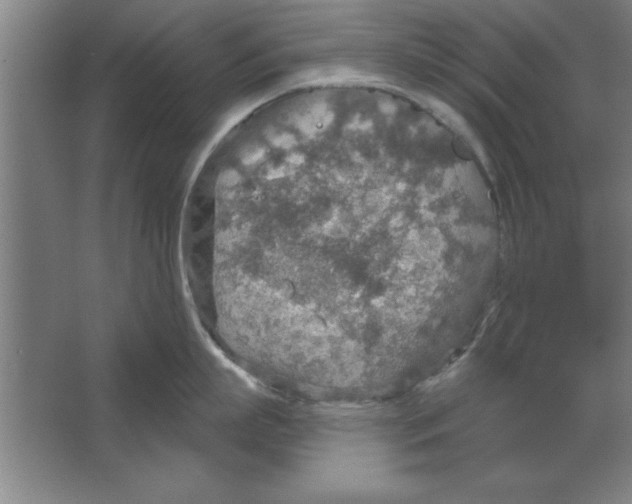 X0000067470863200604281852